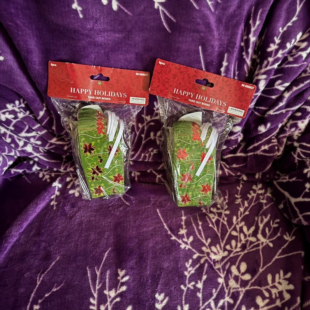 Festive Green Holiday Take Out Boxes